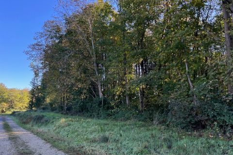Villa i Pieve del Grappa, Treviso, Pieve del Grappa - € 50.000 | Ref: Rfb31 - foto 8