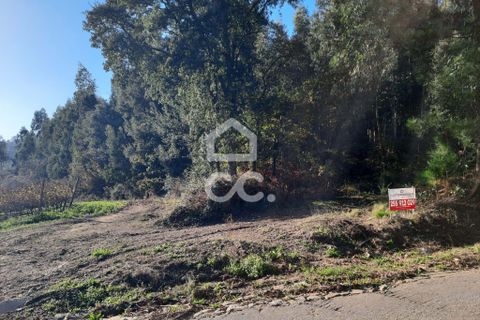 Helårsgrund i Lousada, Porto, Lousada - € 112.500 | Ref: 365/T/02690 - foto 4