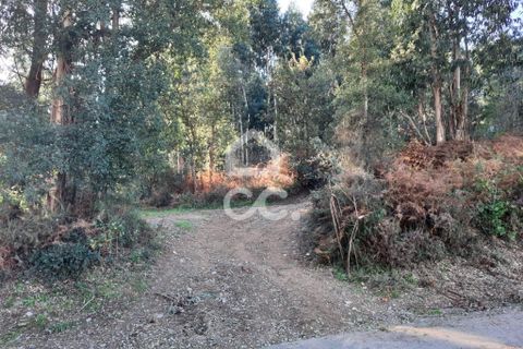 Helårsgrund i Lousada, Porto, Lousada - € 112.500 | Ref: 365/T/02690 - foto 5