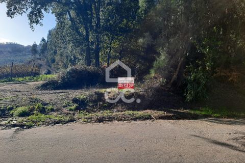 Helårsgrund i Lousada, Porto, Lousada - € 112.500 | Ref: 365/T/02690 - foto 9