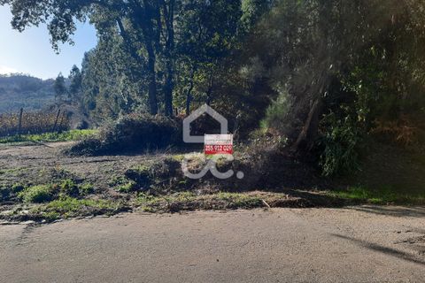 Helårsgrund i Lousada, Porto, Lousada - € 112.500 | Ref: 365/T/02690 - foto 11