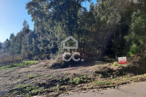 Helårsgrund i Lousada, Porto, Lousada - € 112.500 | Ref: 365/T/02690 - foto 14