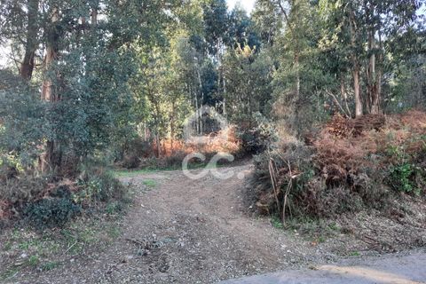 Helårsgrund i Lousada, Porto, Lousada - € 112.500 | Ref: 365/T/02690 - foto 15
