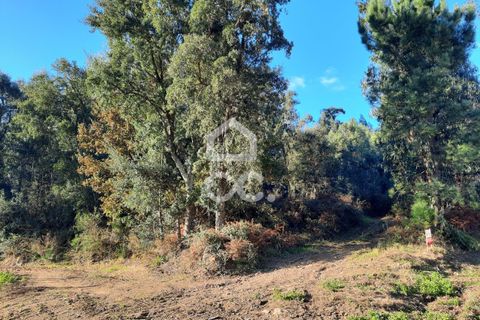 Helårsgrund i Lousada, Porto, Lousada - € 112.500 | Ref: 365/T/02690 - foto 18