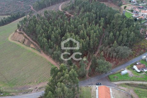 Helårsgrund i Lousada, Porto, Lousada - € 112.500 | Ref: 365/T/02690 - foto 21