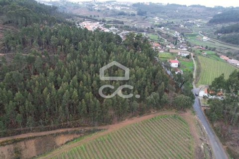 Helårsgrund i Lousada, Porto, Lousada - € 112.500 | Ref: 365/T/02690 - foto 22