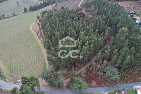 Helårsgrund i Lousada, Porto, Lousada - € 112.500 | Ref: 365/T/02690 - foto 23