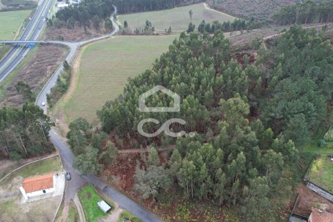 Helårsgrund i Lousada, Porto, Lousada - € 112.500 | Ref: 365/T/02690 - foto 24