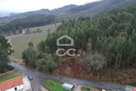 Helårsgrund i Lousada, Porto, Lousada - € 112.500 | Ref: 365/T/02690 - foto 25