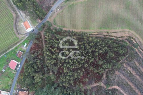 Helårsgrund i Lousada, Porto, Lousada - € 112.500 | Ref: 365/T/02690 - foto 26