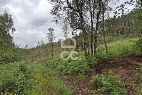 Helårsgrund i Lousada, Porto, Lousada - € 112.500 | Ref: 365/T/02690 - foto 27