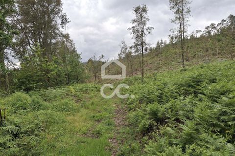 Helårsgrund i Lousada, Porto, Lousada - € 112.500 | Ref: 365/T/02690 - foto 28