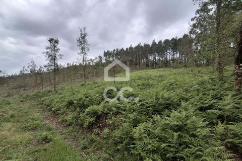 Helårsgrund i Lousada, Porto, Lousada - € 112.500 | Ref: 365/T/02690 - foto 30