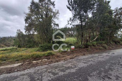 Helårsgrund i Lousada, Porto, Lousada - € 112.500 | Ref: 365/T/02690 - foto 31