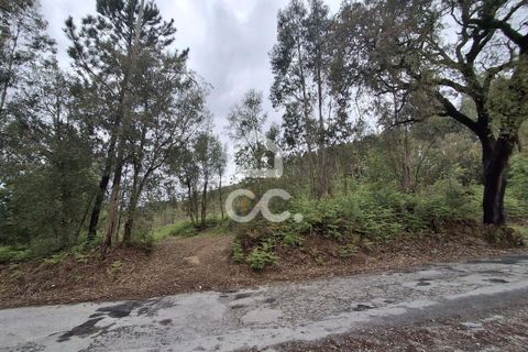 Helårsgrund i Lousada, Porto, Lousada - € 112.500 | Ref: 365/T/02690 - foto 32