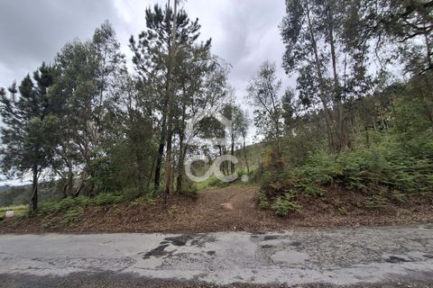 Helårsgrund i Lousada, Porto, Lousada - € 112.500 | Ref: 365/T/02690 - foto 33