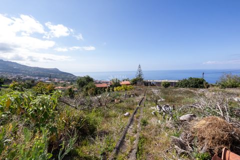 Villa i Calheta, Madeira, Calheta - € 750.000 | Ref: 071762 - foto 5