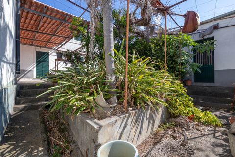 Villa i Calheta, Madeira, Calheta - € 750.000 | Ref: 071762 - foto 13