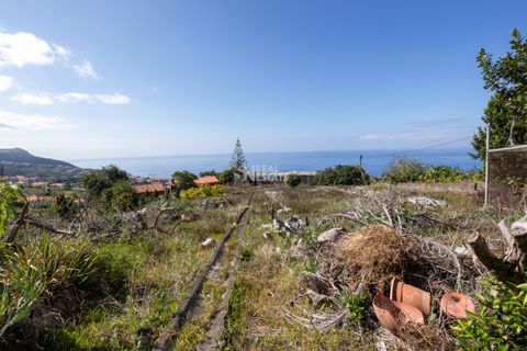 Villa i Calheta, Madeira, Calheta - € 750.000 | Ref: 071762 - foto 14