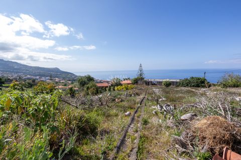 Villa i Calheta, Madeira, Calheta - € 750.000 | Ref: 071762 - foto 16