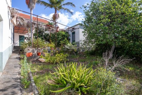 Villa i Calheta, Madeira, Calheta - € 750.000 | Ref: 071762 - foto 18