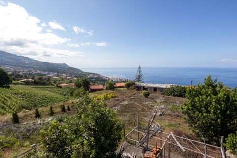 Villa i Calheta, Madeira, Calheta - € 750.000 | Ref: 071762 - foto 3