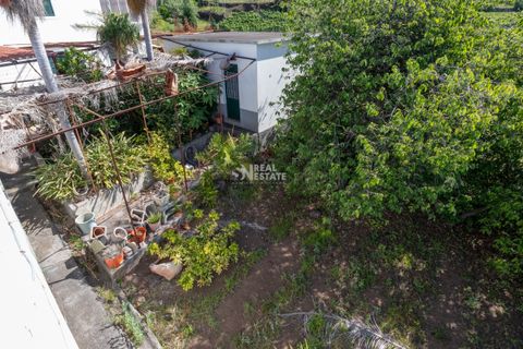 Villa i Calheta, Madeira, Calheta - € 750.000 | Ref: 071762 - foto 27