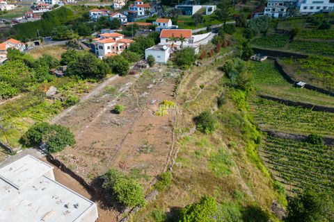 Villa i Calheta, Madeira, Calheta - € 750.000 | Ref: 071762 - foto 33