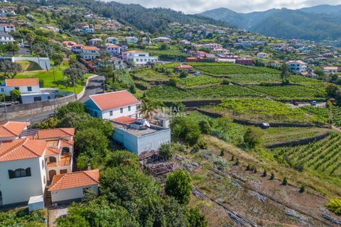 Villa i Calheta, Madeira, Calheta - € 750.000 | Ref: 071762 - foto 37