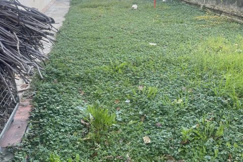 Villa a Gonzaga, Mantua, Gonzaga - € 195.000 | Ref: 2335 - foto 16