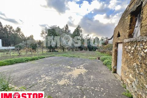 Helårsgrund i Agueda, Aveiro, Agueda - € 29.000 | Ref: 11816 - foto 3