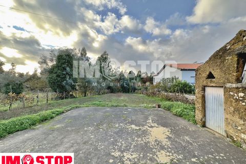 Helårsgrund i Agueda, Aveiro, Agueda - € 29.000 | Ref: 11816 - foto 4