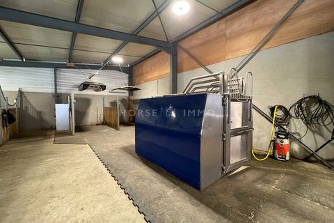 Landejendom i Annemasse, Haute-Savoie, Annemasse - € 3.900.000 | Ref: VM2156-ANG - foto 5
