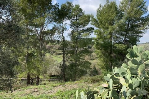 Villa i Modica, Ragusa, Modica - € 220.000 | Ref: L 438 - foto 11