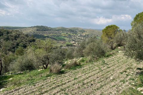 Villa i Modica, Ragusa, Modica - € 220.000 | Ref: L 438 - foto 14