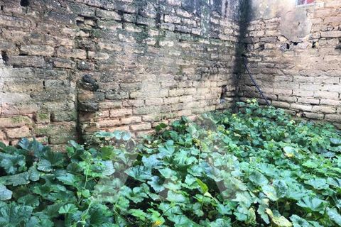 Villa i Sepins e Bolho, Coimbra, Sepins e Bolho - € 85.000 | Ref: 1051120/23 OB - foto 6