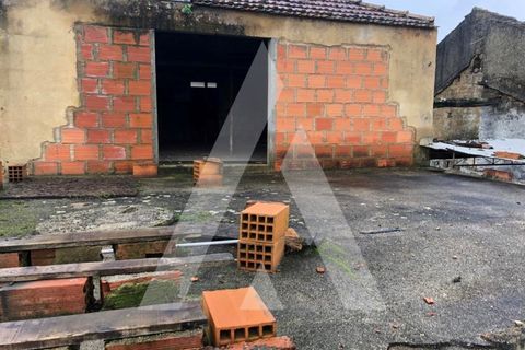 Villa i Sepins e Bolho, Coimbra, Sepins e Bolho - € 85.000 | Ref: 1051120/23 OB - foto 11
