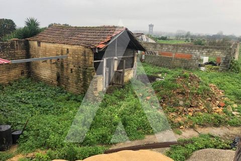 Villa i Sepins e Bolho, Coimbra, Sepins e Bolho - € 85.000 | Ref: 1051120/23 OB - foto 13