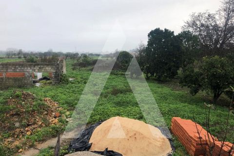 Villa i Sepins e Bolho, Coimbra, Sepins e Bolho - € 85.000 | Ref: 1051120/23 OB - foto 16