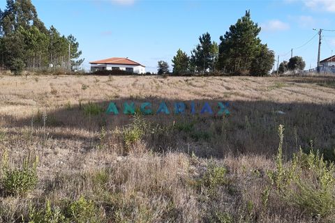 Helårsgrund i Leiria, Leiria, Leiria - € 180.000 | Ref: ANG960 - foto 2