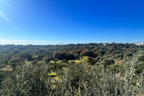 Landejendom i Cisternino, Brindisi, Cisternino - € 310.000 | Ref: 248 - foto 7