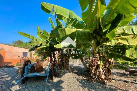 Herregård i Torrenueva, Granada, Torrenueva - € 784 900 | Ref: 2110 - foto 4