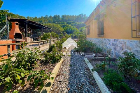 Herregård i Torrenueva, Granada, Torrenueva - € 784 900 | Ref: 2110 - foto 32
