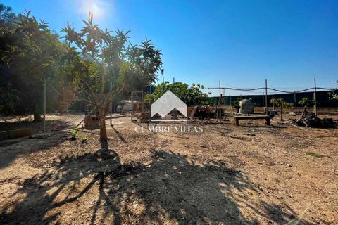 Herregård i Torrenueva, Granada, Torrenueva - € 784 900 | Ref: 2110 - foto 38