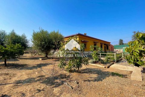 Herregård i Torrenueva, Granada, Torrenueva - € 784 900 | Ref: 2110 - foto 39