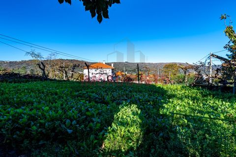 Villa i Sobral Pichorro e Fuinhas, Guarda, Sobral Pichorro e Fuinhas - € 90.000 | Ref: CAS_1941 - foto 15