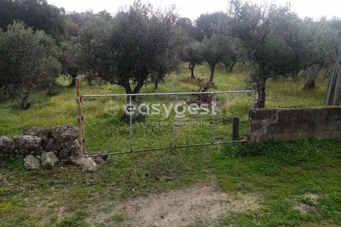 Helårsgrund i Castelo Branco, Castelo Branco, Castelo Branco - € 19.500 | Ref: CB94061MA - foto 3