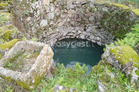 Helårsgrund i Castelo Branco, Castelo Branco, Castelo Branco - € 19.500 | Ref: CB94061MA - foto 9