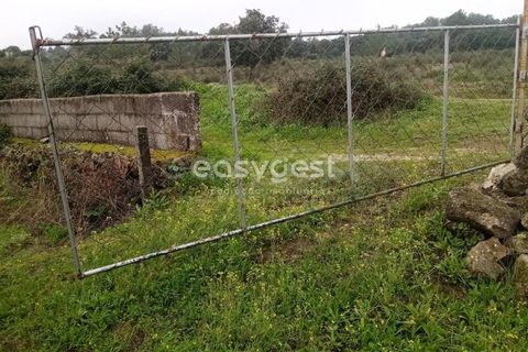 Helårsgrund i Castelo Branco, Castelo Branco, Castelo Branco - € 19.500 | Ref: CB94061MA - foto 10