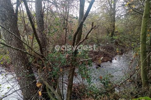 Helårsgrund i Castelo Branco, Castelo Branco, Castelo Branco - € 19.500 | Ref: CB94061MA - foto 11